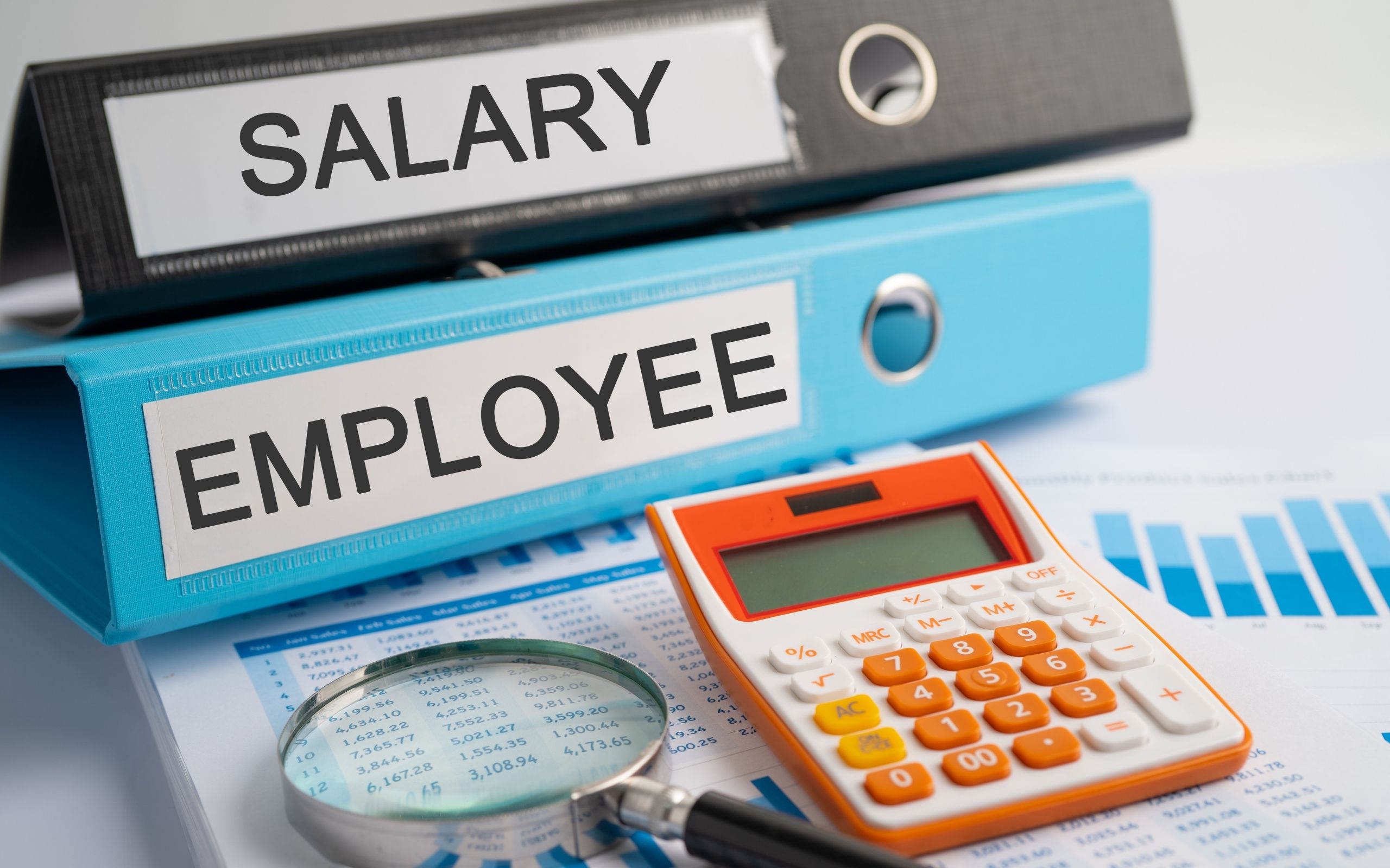 рост зарплат в Польше также повышает рост затрат предприятий на содержание персонала