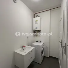 15562
