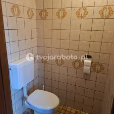 14954