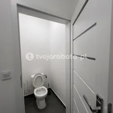 15564