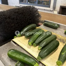 15518