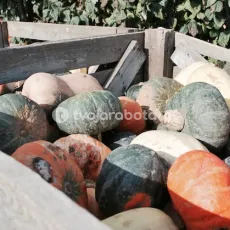 13784
