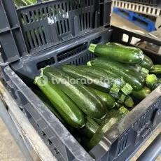 13951
