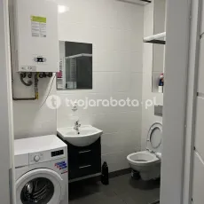 15561