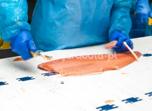 Робота на рибному виробництві