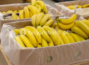 Робота на складі бананів