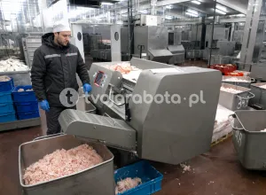 Работник на производстве корма для животных, Голландия