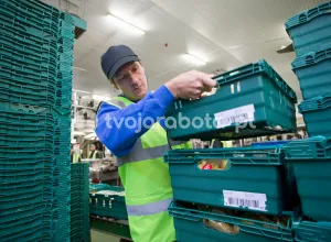 Працівник на сортування та пакування овочів