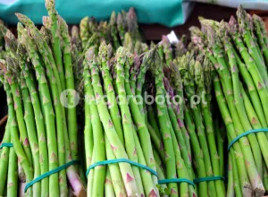 Сортировщик спаржи в Голландии