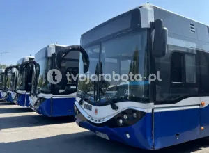 Водій міського автобуса