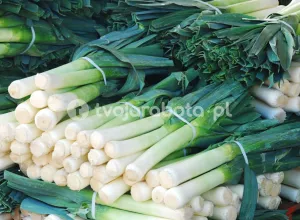 Работник на переработке лука порея в Нидерландах