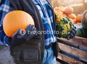 Збір гарбузів