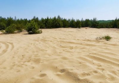 Пески пустынь Польши: Блендовская пустыня