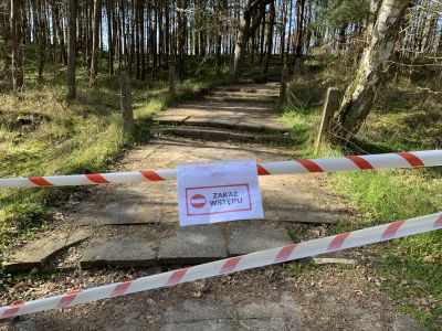 Леса в Польше снова могут закрыть. На этот раз не из-за коронавируса