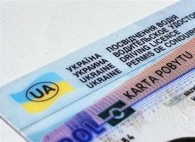Водительские права с Дия будут отображаться в польском mObywatel